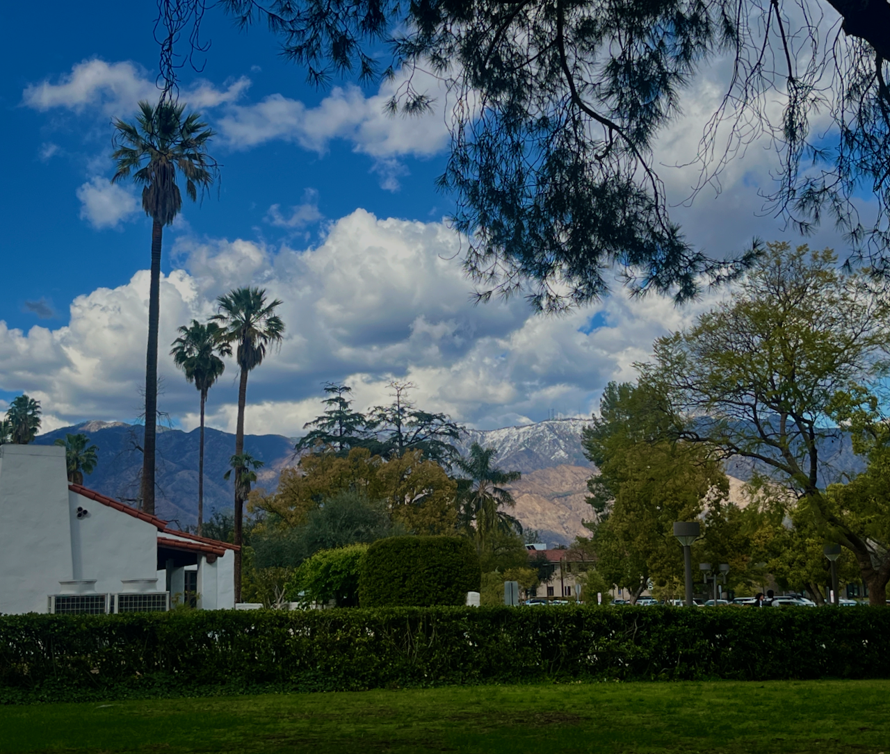 Snow-covered San Gabriels visible from Caltech