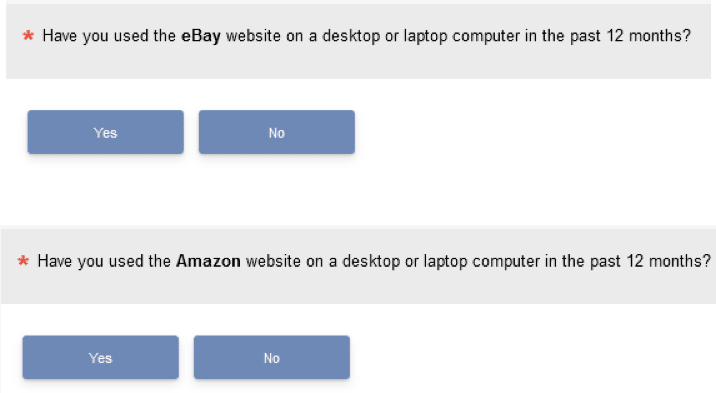 Screenshot: Individual yes/no questions. Have you used the eBay website...yes/no; have you used the Amazon website...yes/no.