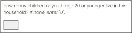 Screenshot of How many children or youth age 20 or younger live in this household? If none, enter "0." Screen includes a write-in field.