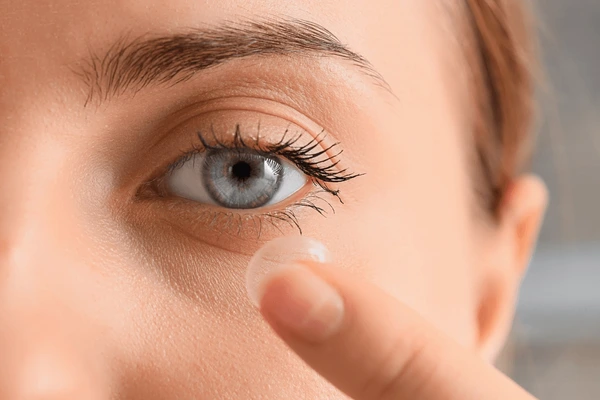 Contacts