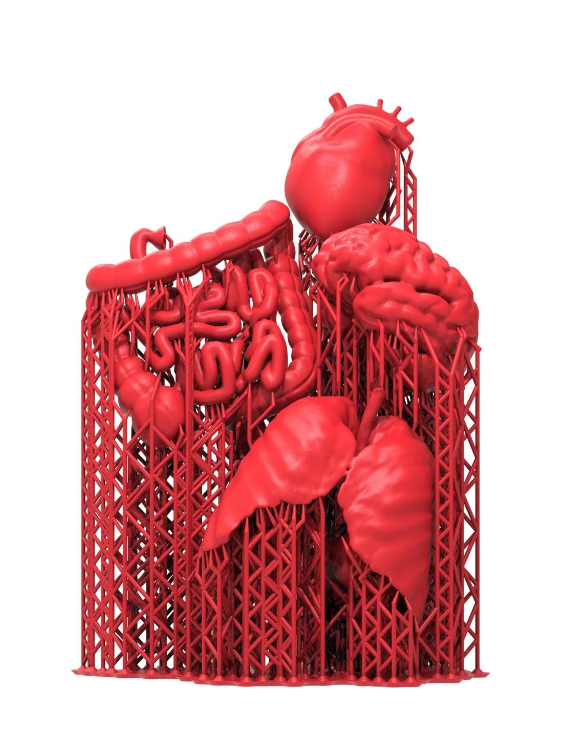 Science | WIRED