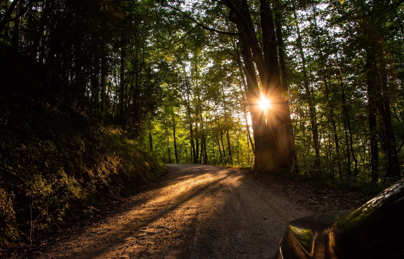 A part of the Appalachian Trail in Northern Georgia