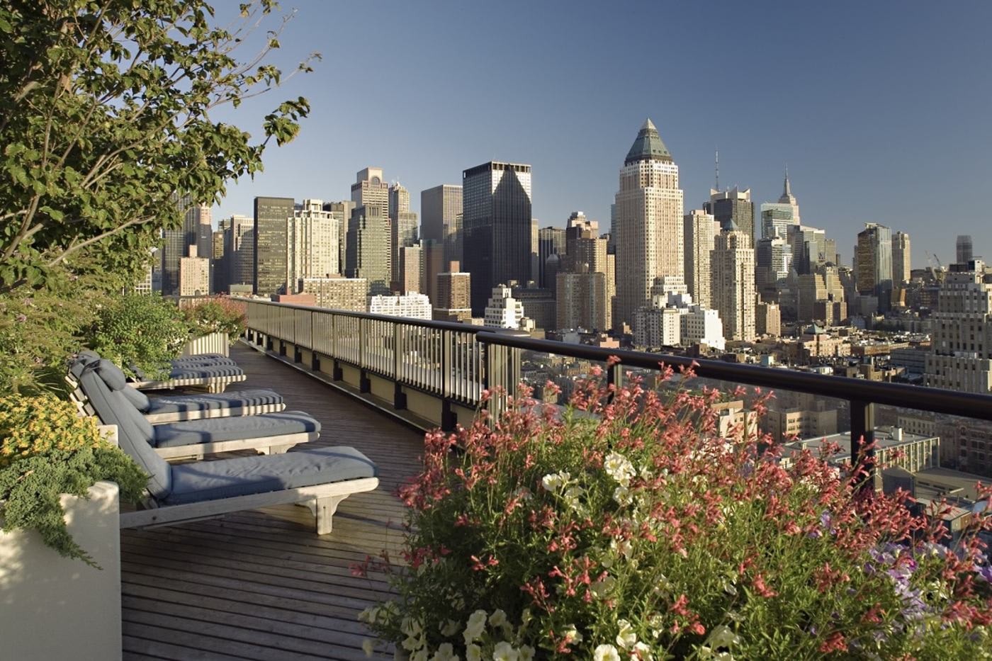 NYC hells kitchen rooftop sundeck view of the city and plants around the lounge chairs
