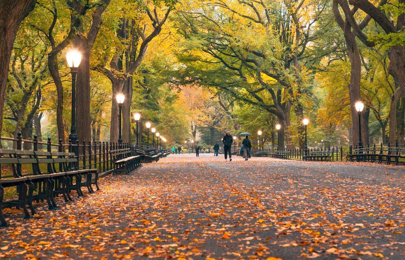 Central Park in fall in New York City