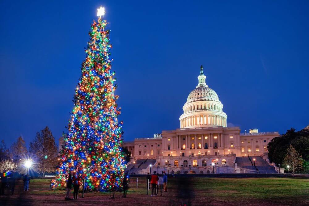 Christmas in Washington, DC