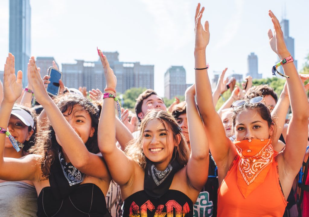 Crowd at Lollapalooza