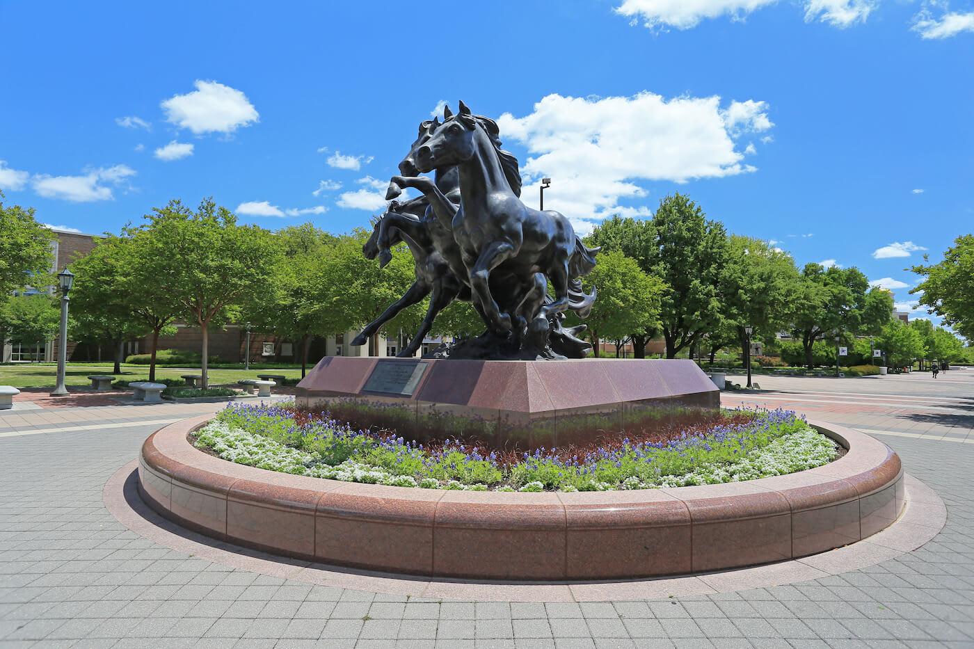 Mustang statue at SMU in Dallas