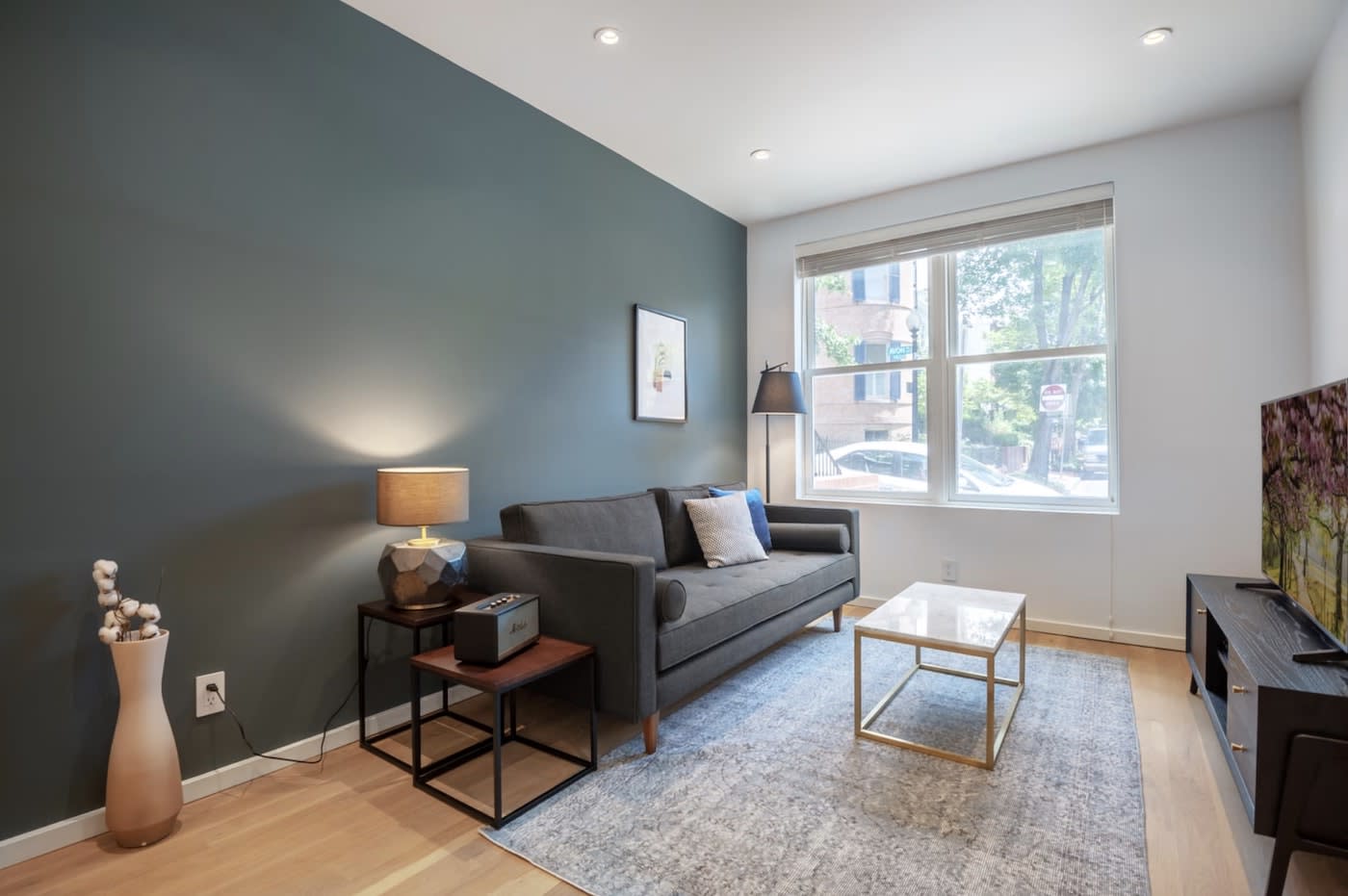 Living room in Washington DC apartment