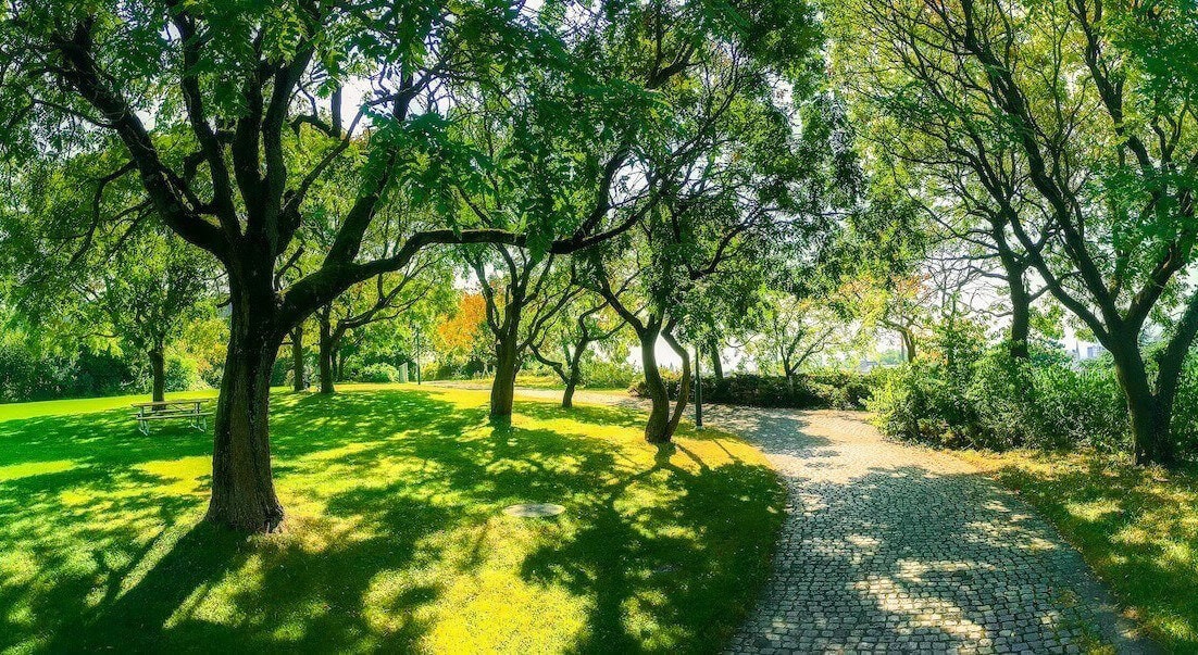 Green space park in Zurich