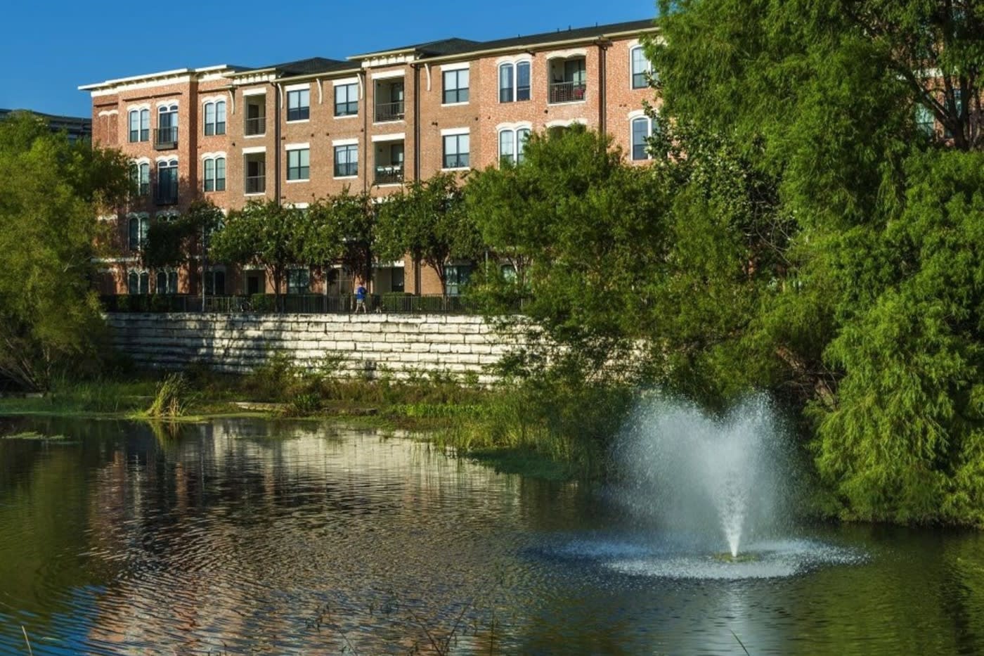 Park area in Austin, TX