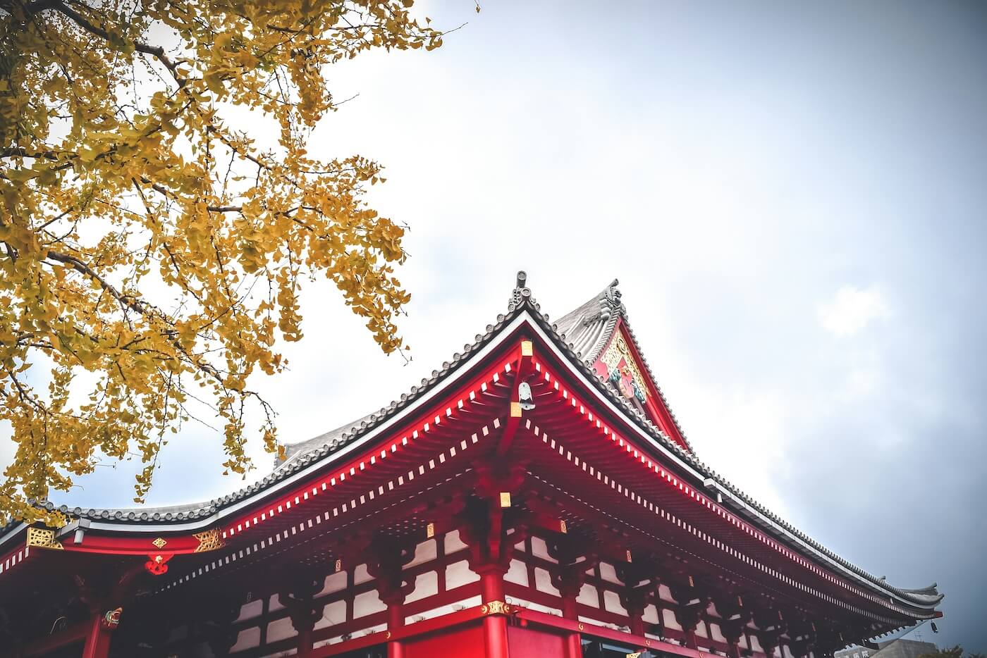 Sky, tree, and temple in Tokyo Japan