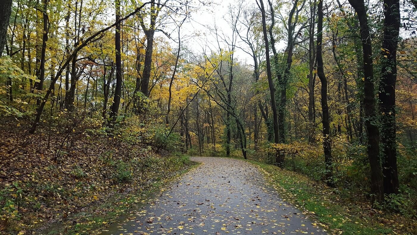 Trail in park near Belle Meade neighborhood of Nashville