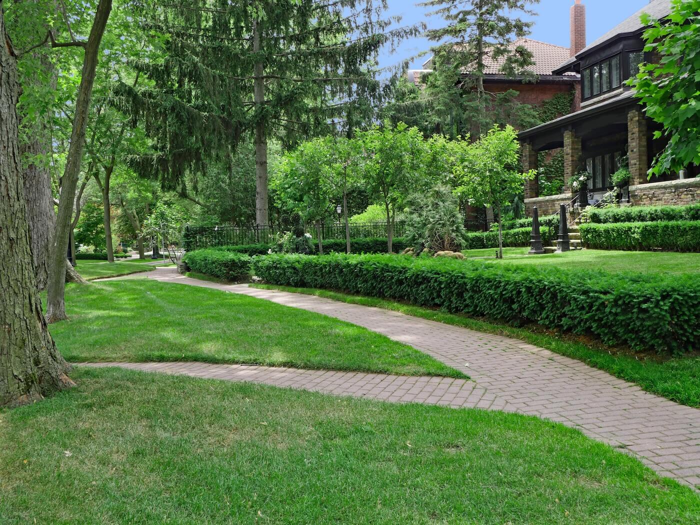 Tree-lined sidewalk and homes in the Rosedale neighborhood