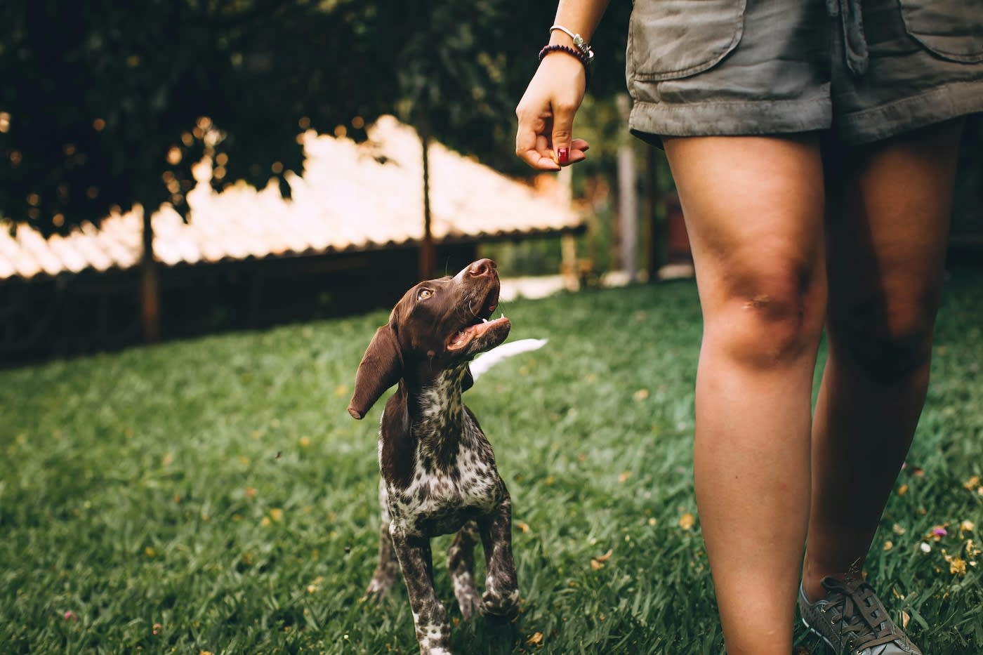 Woman walking with her dog