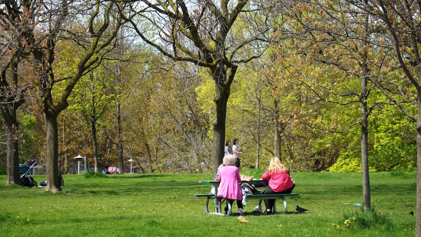 People enjoying green space in Toronto Canada