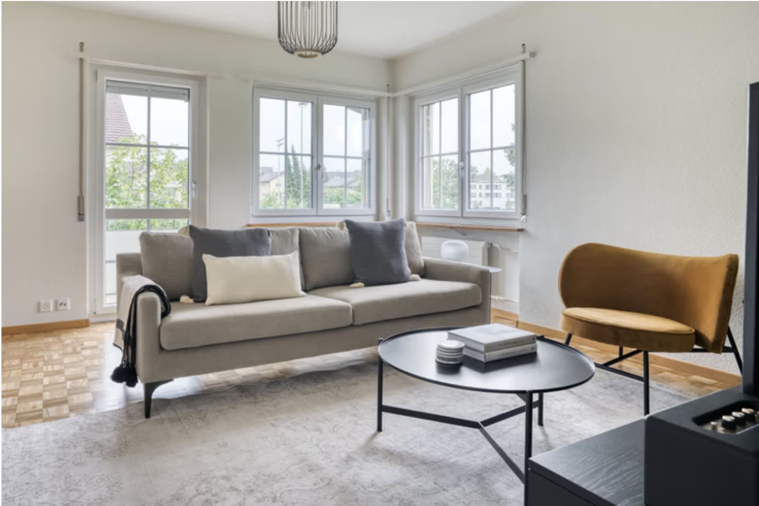 Pet friendly apartment in Zurich