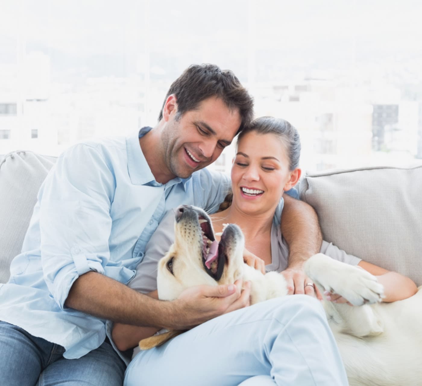 golden retriever on the couch being hugged by its owners