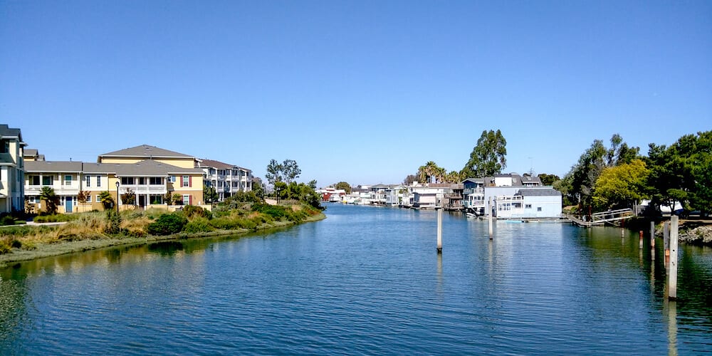 bair island sf bay