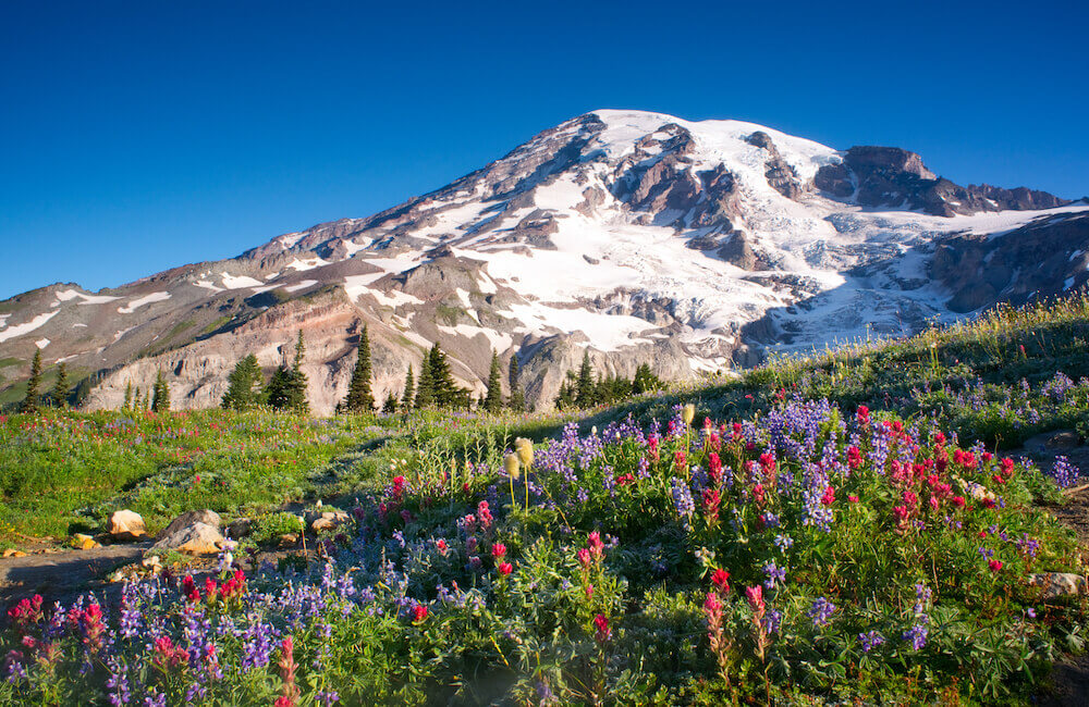 blueground blueprint day trips seattle