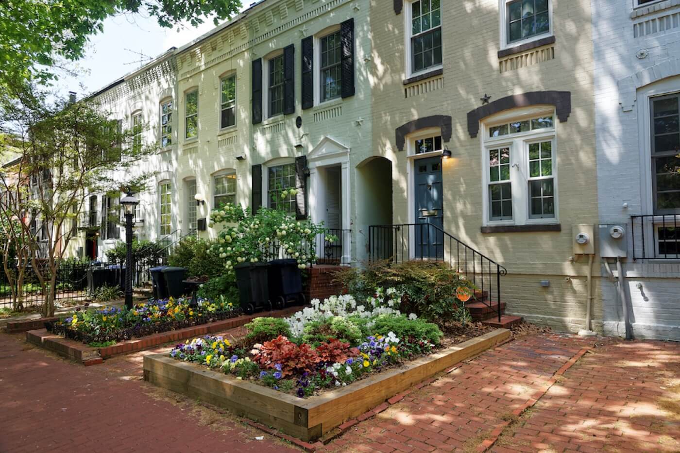 georgetown row houses