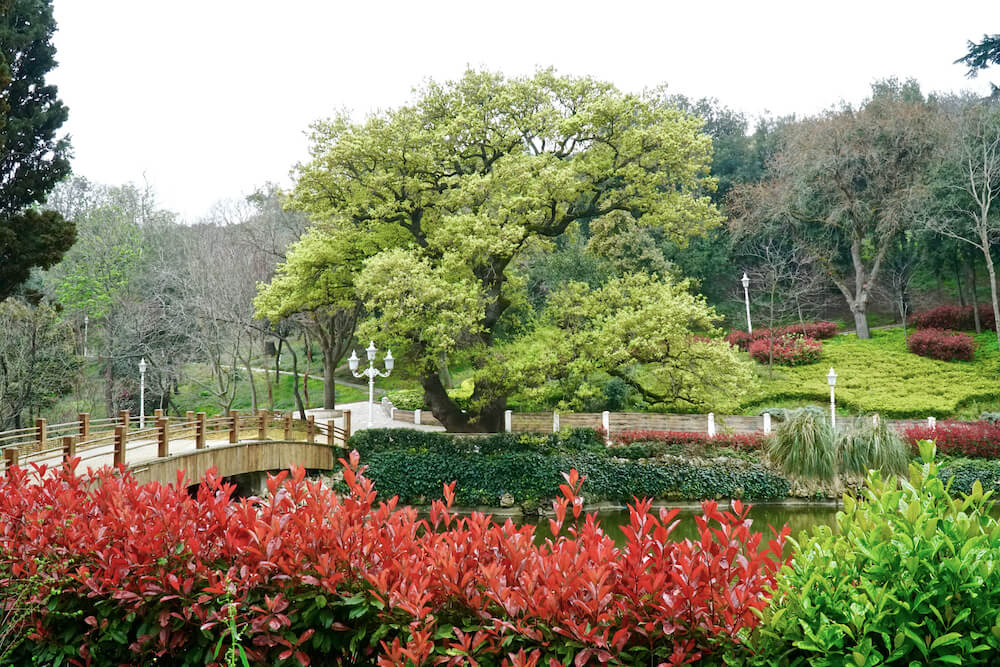 yildiz park