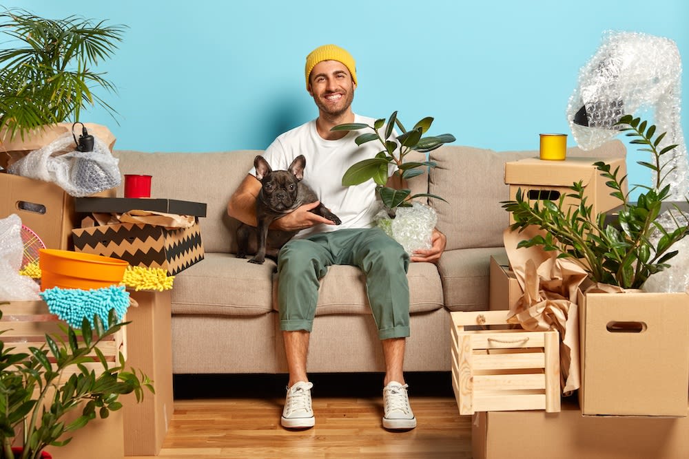 packing boxes and plants with a dog