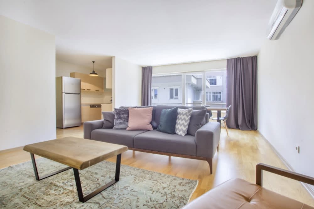a pet friendly apartment in istanbul
