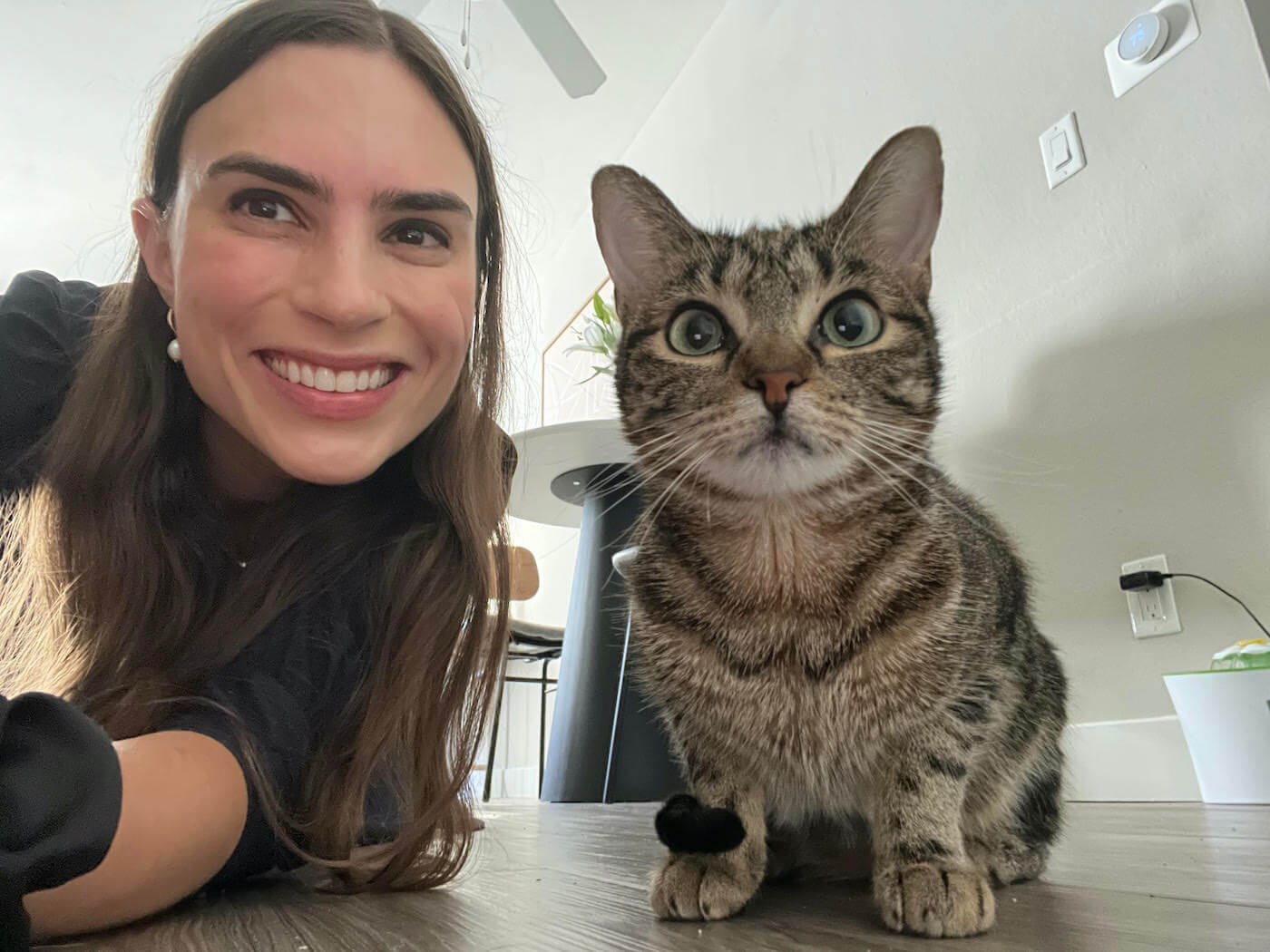 home organizer caroline solomon and her cat