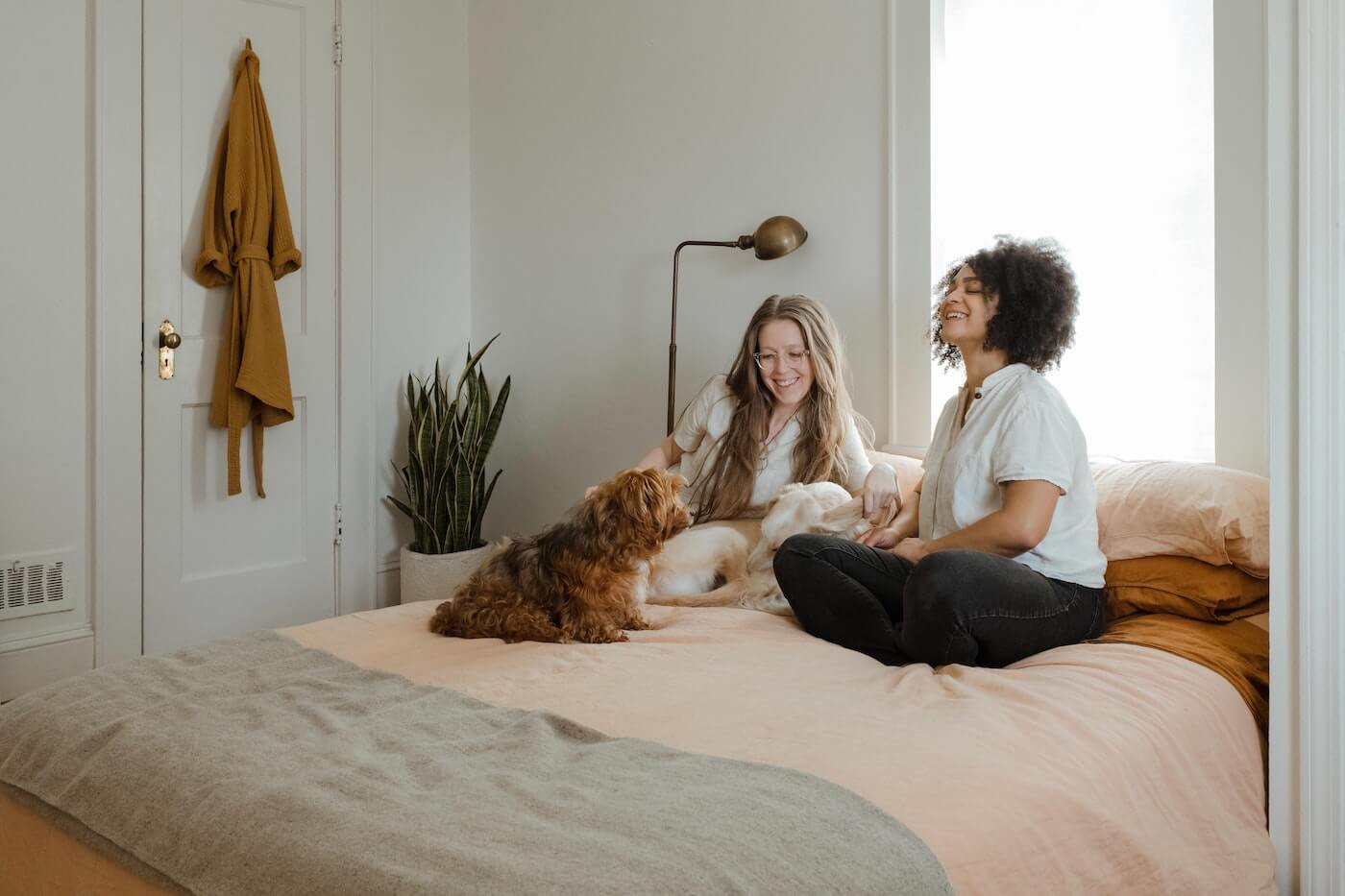 a couple and their dog relax on a bed
