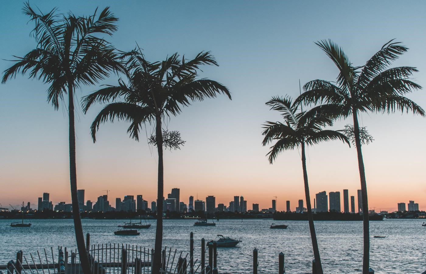 Four palm trees on a pier with miami visible on the distance.