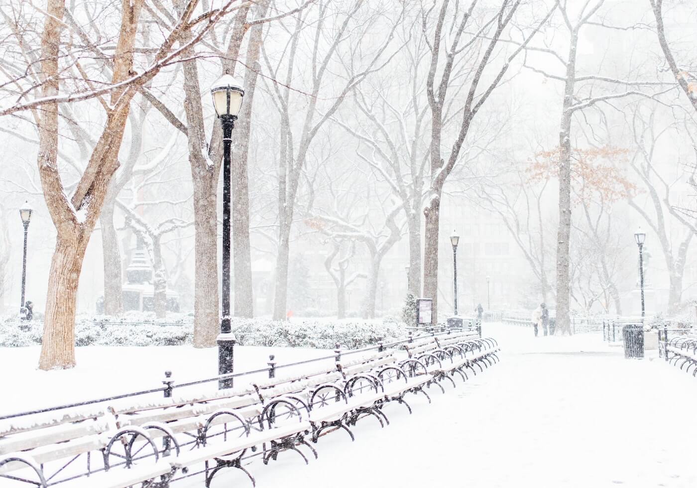 central park in nyc in winter