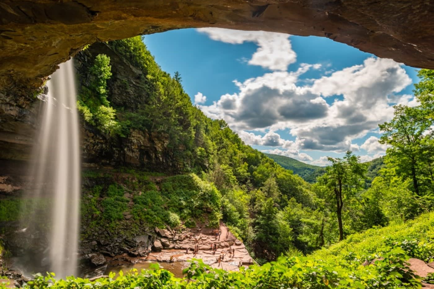 waterfall and trees overview in Catskills Mountains