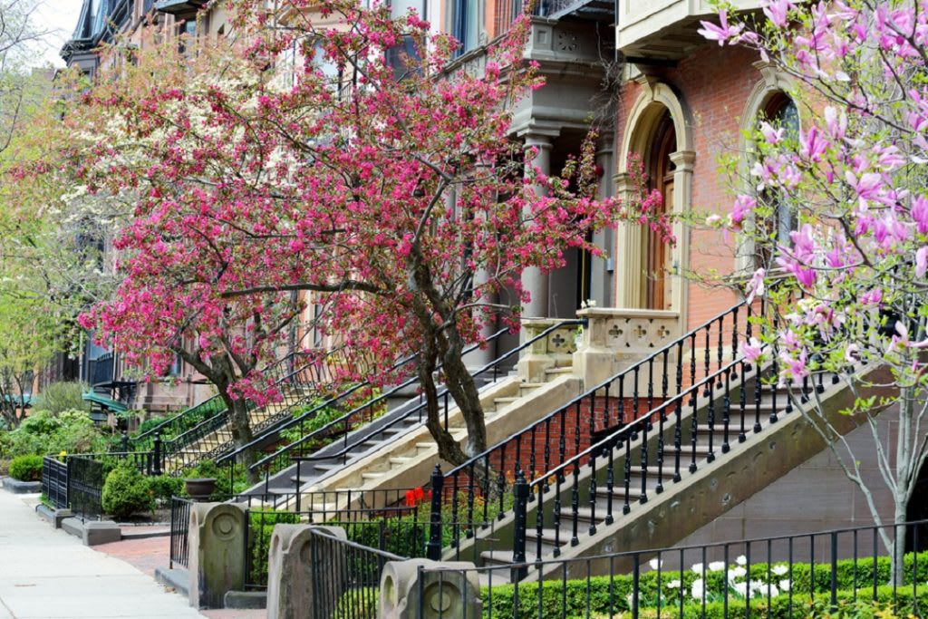 best neighborhoods boston south end walk up houses