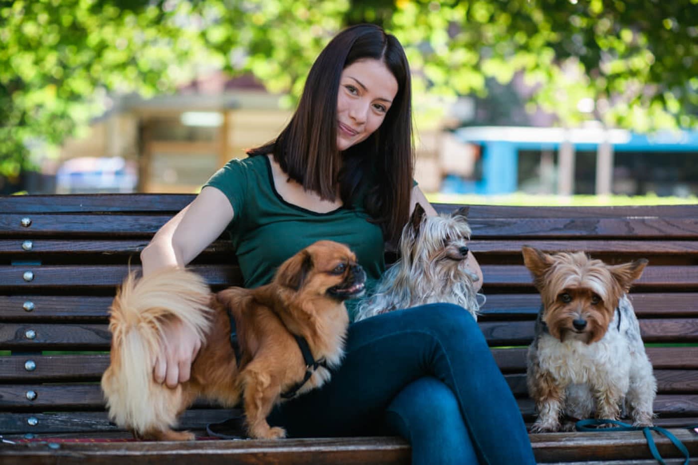 a woman is sitting on a bench with three small dogs