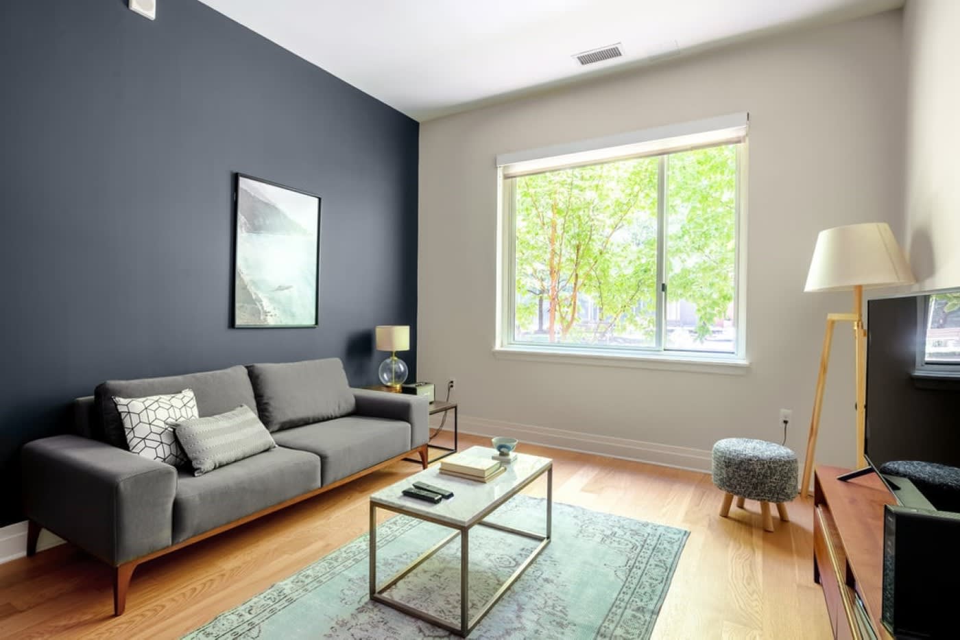 georgetown apartment living room with bright windows