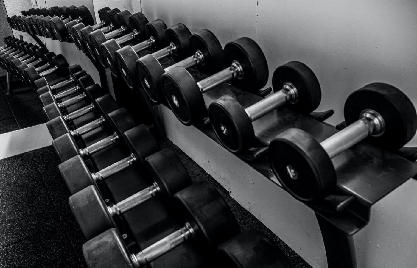 A row of dumbbells in a rack at a gym.