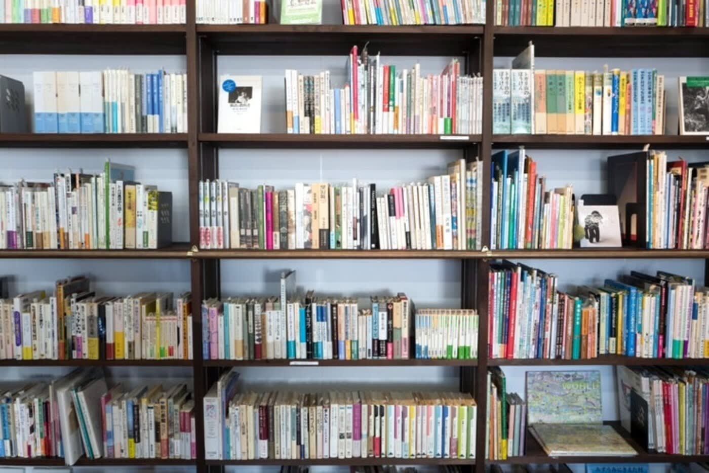 international schools in los angeles hundreds of books lined up on a library book shelf