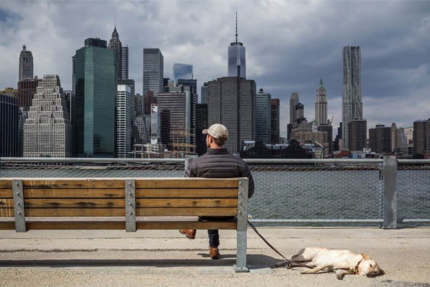 dog and its owner sitting across the river in NYC
