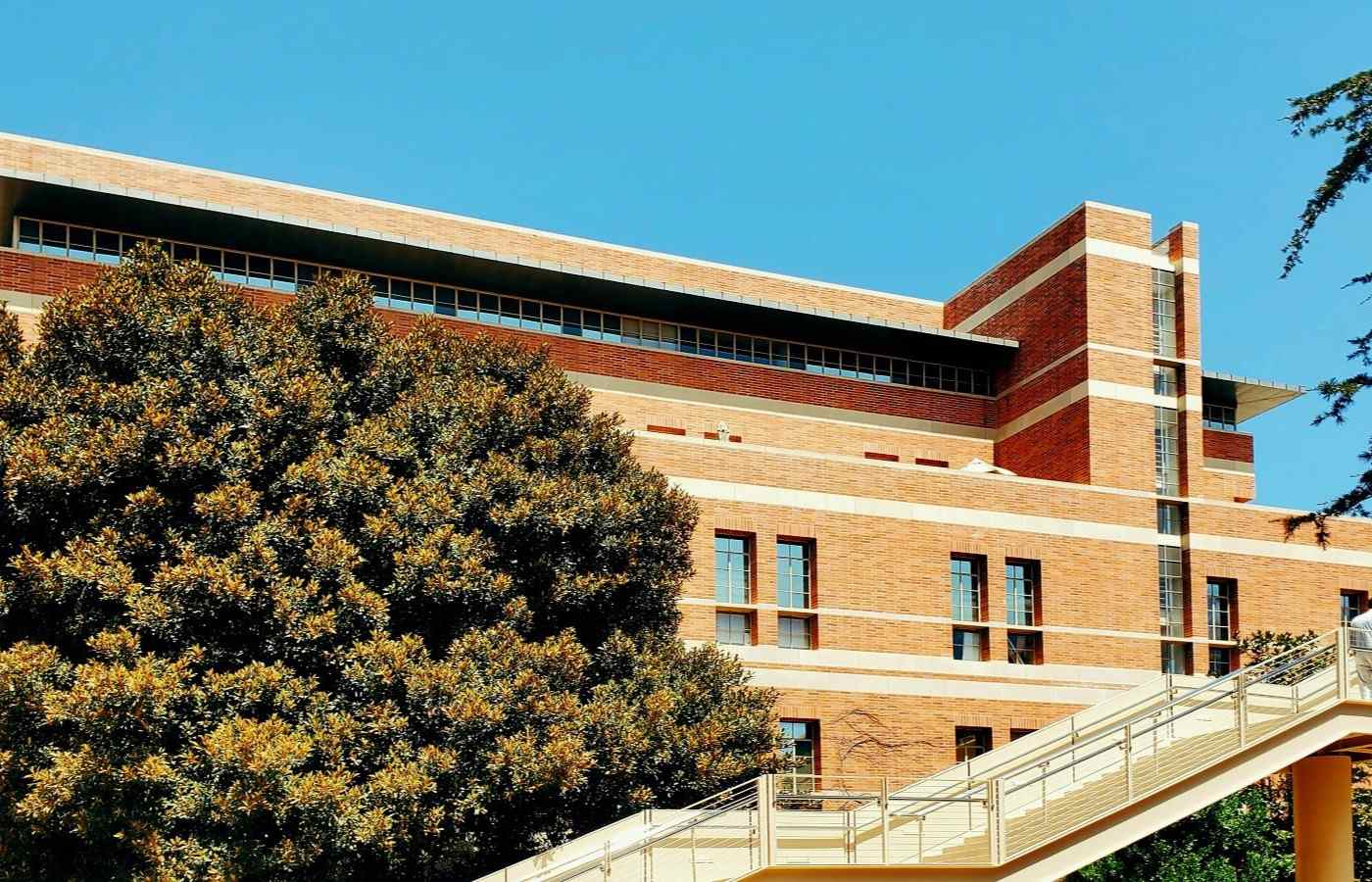 A brick university building in the afternoon sun.