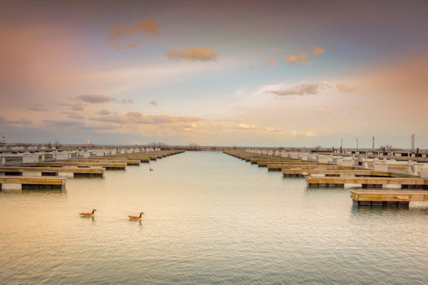 Lake Michigan in Chicago with two ducks floating on the water at sunset