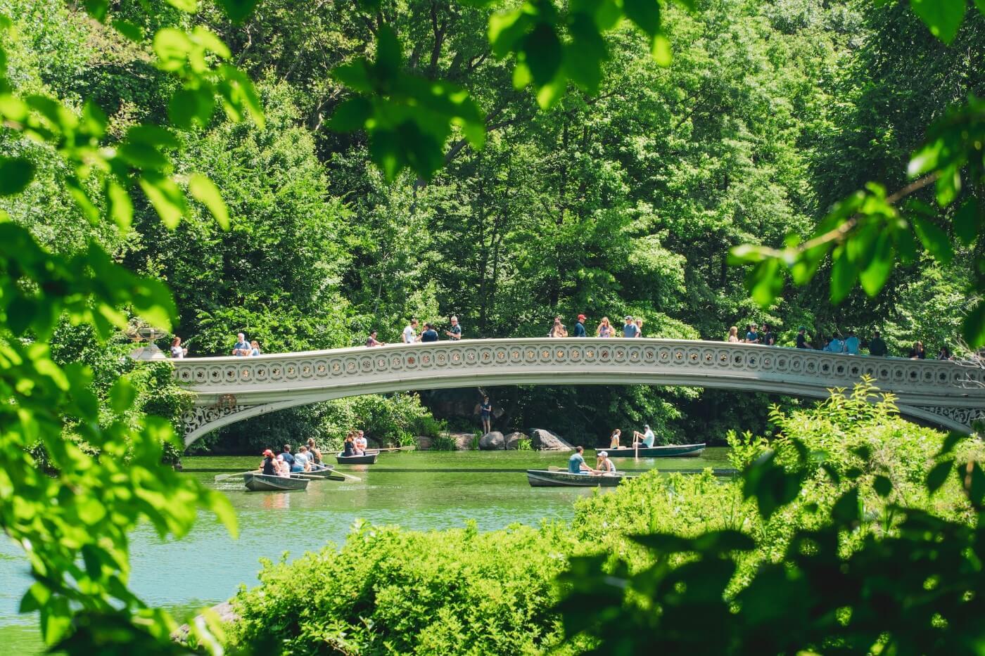 Bridge in Central Park NYC