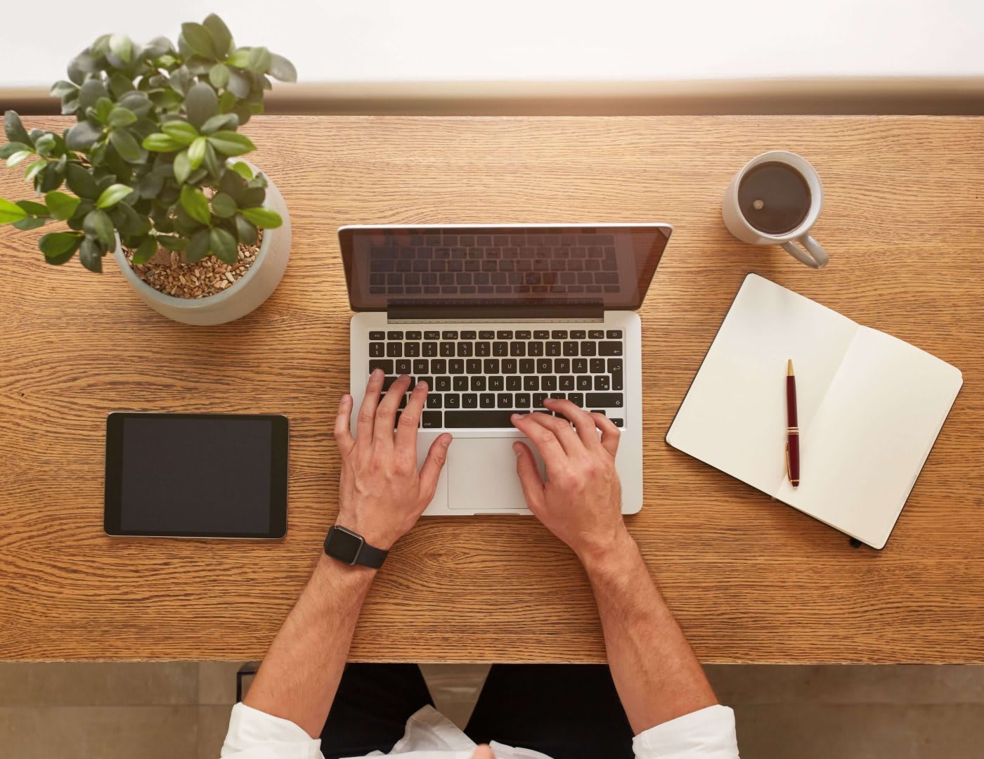 man typing on his laptop, view of the table from above, there is a flower pot, a coffee mug and a journal