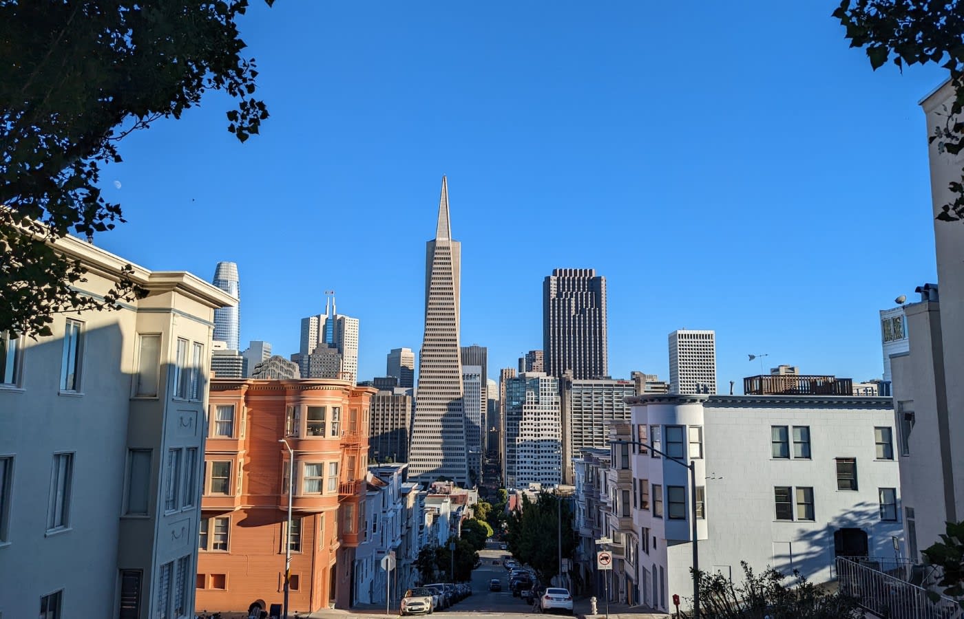 Landscape with tall buildings in Telegraph Hill San Francisco