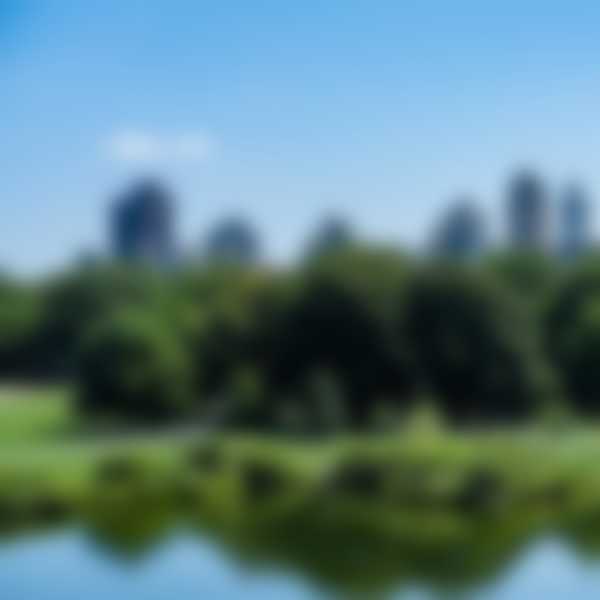 View of Central Parks in NYC, with skyscrapers in the background