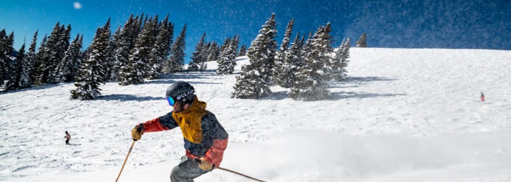 Skiing near trees