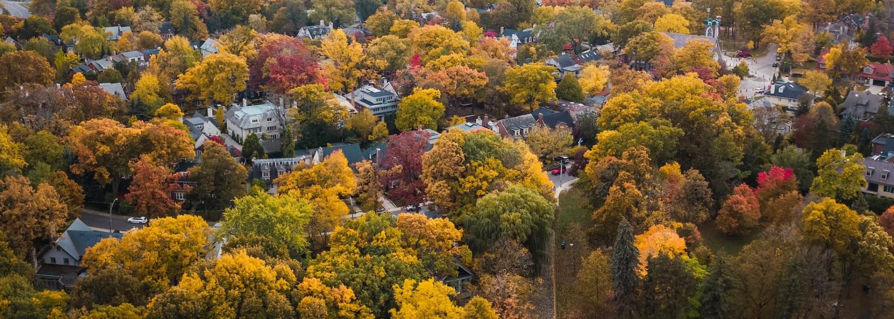 Toronto skyscrapers and trees in autumn