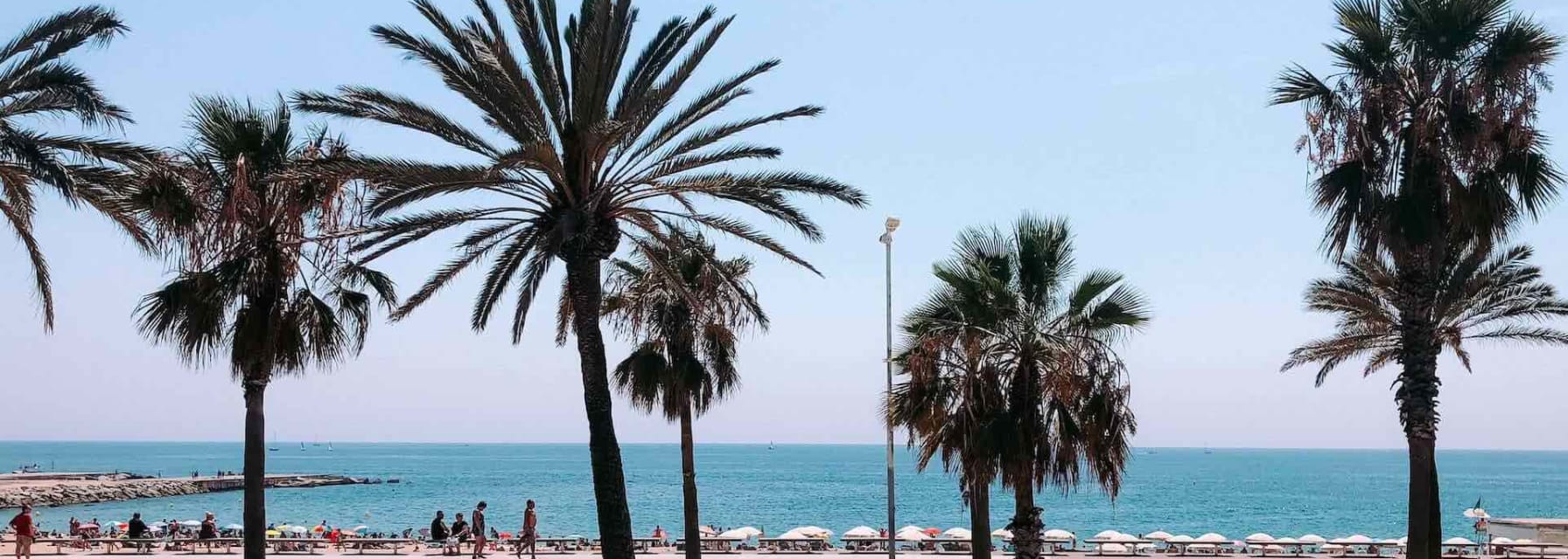 barceloneta beach on a summer day
