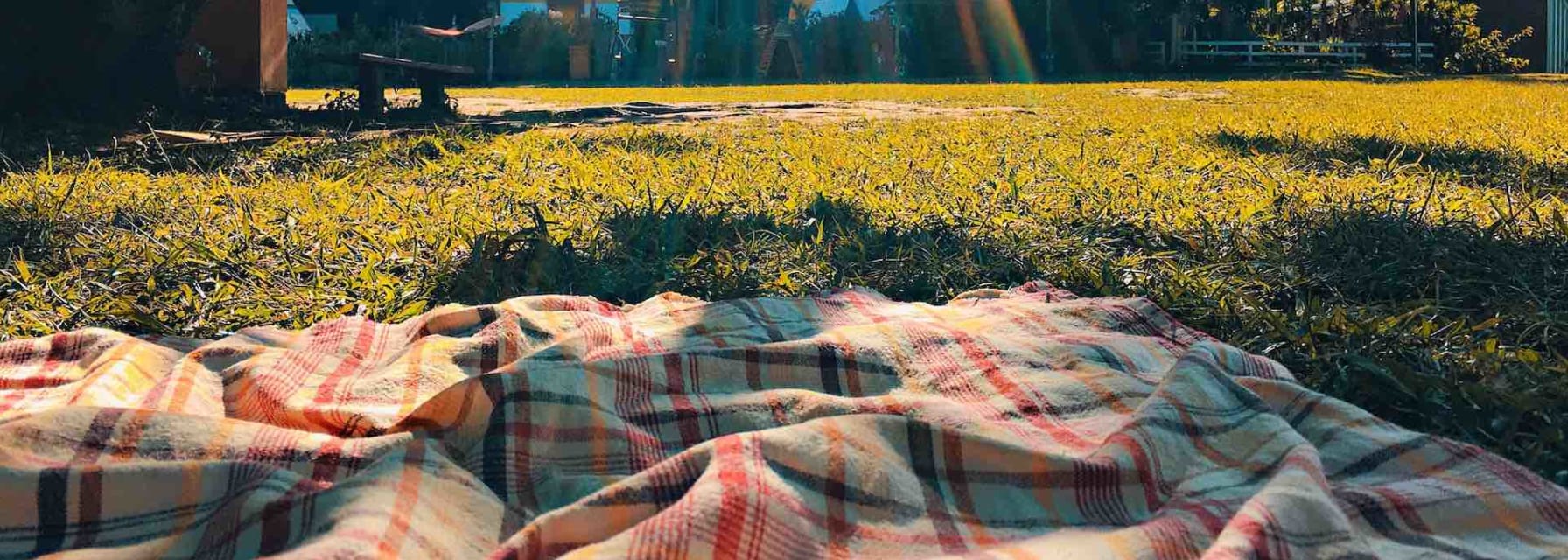 a picnic on a sunny summer day