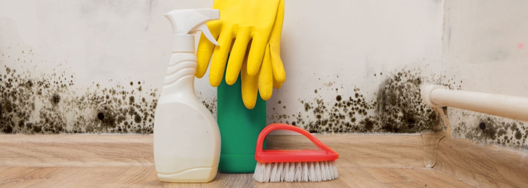 blueprint blueground how to test for mold black mold in corner of room wall preparation for mold removal with white spray bottle red scrub yellow gloves