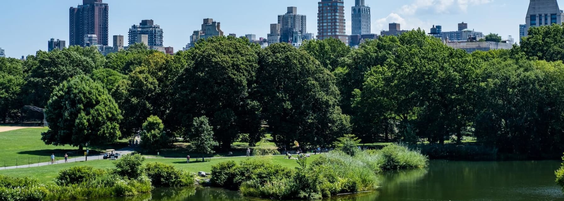 View of Central Parks in NYC, with skyscrapers in the background